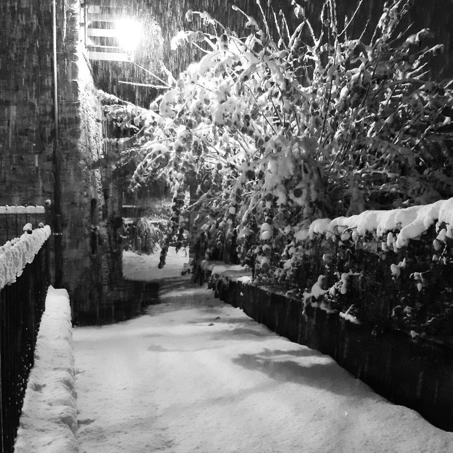 Le Mie Radici Bed & Breakfast Scopello  Exterior photo